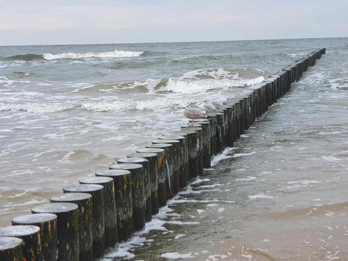 Baltic Cliff Apartamenty Niechorze Exteriör bild